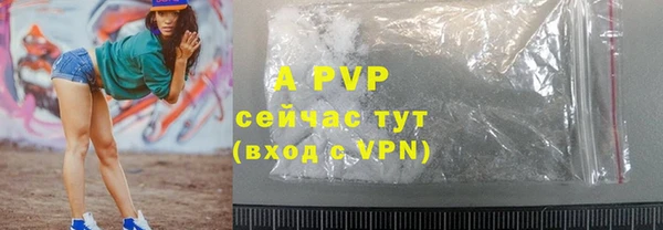 PSILOCYBIN Янаул