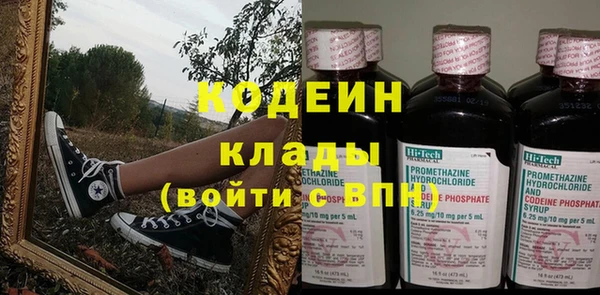 сатива Новоульяновск