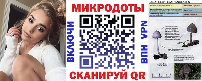 Галлюциногенные грибы прущие грибы  Новороссийск 