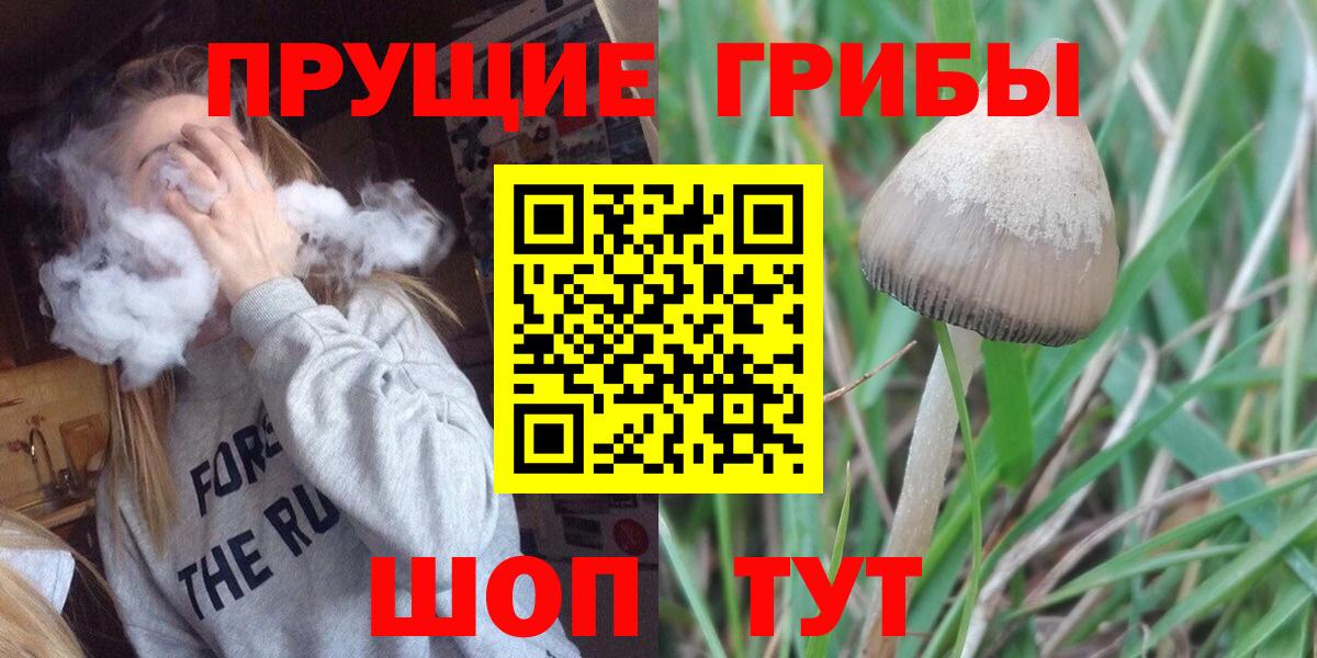Галлюциногенные грибы мухоморы Новороссийск