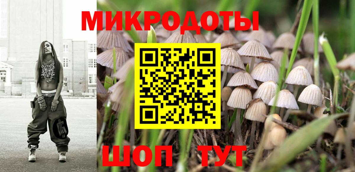 Псилоцибиновые грибы Cubensis  Новороссийск 